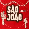 São João 2025 🔥🎶 As Mais Tocadas e Atualizadas – Mais Tocadas