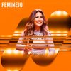 Feminejo – As Maiores Cantoras do Sertanejo 2025 | Playlist Atualizada