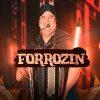 Forrozín – As Melhores do Forró para Curtir Sem Moderação | Mais Tocadas
