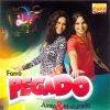 Forró Pegado – História, Integrantes, Discografia Completa e Principais Sucessos