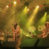 Chimarruts: 20 Super Sucessos para Entrar no Clima do Reggae Brasileiro