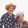 Tiao Carreiro & Pardinho: 20 Super Sucessos que Moldaram a Música de Raiz