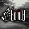 Grupo Aquila: 20 Super Sucessos que Encantam e a Playlist Oficial