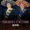 Pedro Bento e Ze Da Estrada: 20 Sucessos que Embalam a Estrada do Sertanejo