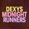 Dexys Midnight Runners: 20 Sucessos Icônicos para Ouvir — Playlist Completa