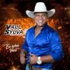 Vall Sylva: mergulhe nos 20 super sucessos em uma playlist irresistível