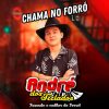 Forro Pagina De Jornal: 20 Super Sucessos em Playlist Exclusiva