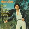 Julio Cesar: 20 Super Sucessos que Marcaram uma Era da Música Brasileira