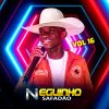 Neguinho Safadao: 20 Super Sucessos Que Dominam a Playlist