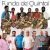 Grupo Fundo de Quintal: 20 Sucessos Que Moldaram o Samba e o Pagode
