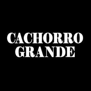Cachorro Grande mais tocadas 2026