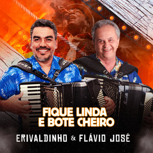 Erivaldinho Do Acordeon mais tocadas 2026