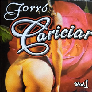 Forro Cariciar mais tocadas 2026