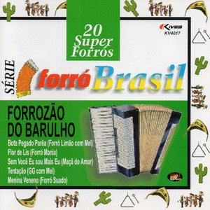 Forrozao Do Barulho mais tocadas 2026