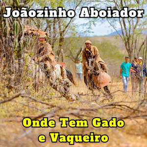 Joaozinho Aboiador mais tocadas 2026