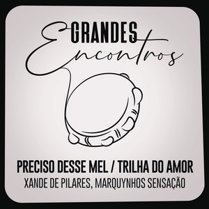 Marquynhos Sensacao mais tocadas 2026