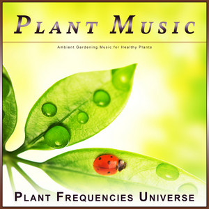 Music For Plants mais tocadas 2026