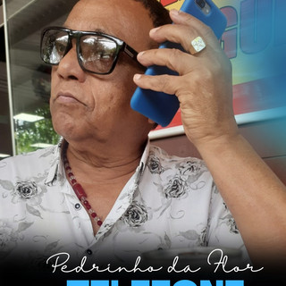 Pedrinho Da Flor mais tocadas 2026