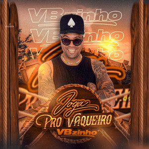 Vbzinho mais tocadas 2026