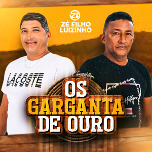 Ze Filho Luizinho mais tocadas 2026