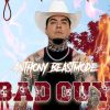 Playlists – Anthony Beastmode Mais Tocadas Anthony Beastmode mais tocadas 2026