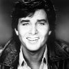 Bobby Sherman mais tocadas 2026