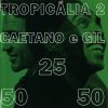 Playlists – Caetano Veloso E Gilberto Gil Mais Tocadas Caetano Veloso E Gilberto Gil mais tocadas 2026