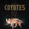 Coyotes mais tocadas 2026