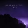Dharma Numb mais tocadas 2026