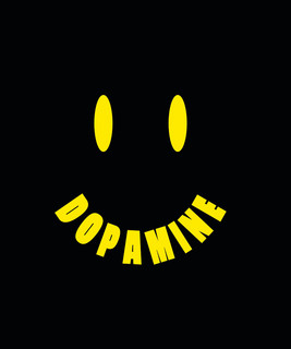 Playlists – Dopamine Mais Tocadas Dopamine mais tocadas 2026