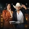 Playlists – Forro Banho De Gato Mais Tocadas Forro Banho De Gato mais tocadas 2026