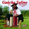 Gaucho Sulino mais tocadas 2026