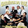 Gauderios Do Vale mais tocadas 2026
