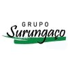 Grupo Surungaco mais tocadas 2026