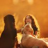 Playlists – Honden Muziek Universum Mais Tocadas Honden Muziek Universum mais tocadas 2026