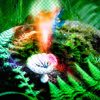Playlists – Lady Gaga Mindfulness Mais Tocadas Lady Gaga Mindfulness mais tocadas 2026