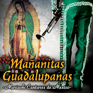 Playlists – Mariachi Cantares De Mexico Mais Tocadas Mariachi Cantares De Mexico mais tocadas 2026