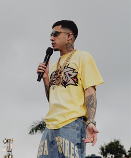 MC Joaozinho Vt mais tocadas 2026