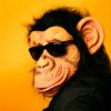 Monkeyz mais tocadas 2026