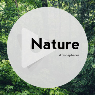 Playlists – Nature Atmospheres Mais Tocadas Nature Atmospheres mais tocadas 2026