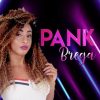 Pank Brega mais tocadas 2026