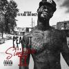 Playlists – Peanut Da Don Mais Tocadas Peanut Da Don mais tocadas 2026
