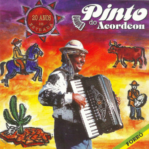 Playlists – Pinto Do Acordeon Mais Tocadas Pinto Do Acordeon mais tocadas 2026