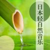 轻音乐 mais tocadas 2026