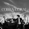 Quarteto Cobra Coral mais tocadas 2026