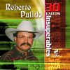Roberto Pulido mais tocadas 2026