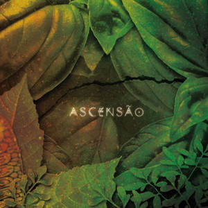 Playlists – Serena Assumpcao Mais Tocadas Serena Assumpcao mais tocadas 2026