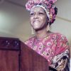 Playlists – Shirley Scott Mais Tocadas Shirley Scott mais tocadas 2026