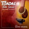 Playlists – Tadeu Garcia David Assayag Mais Tocadas Tadeu Garcia David Assayag mais tocadas 2026