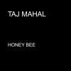 Taj Mahal mais tocadas 2026